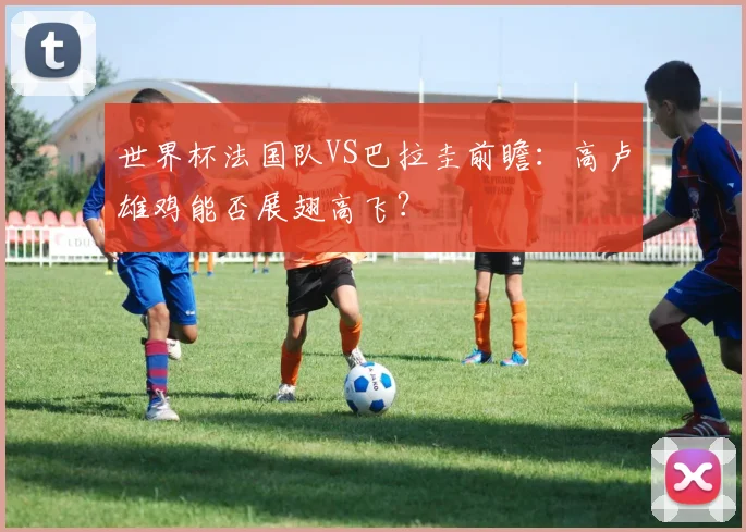 世界杯法国队VS巴拉圭前瞻：高卢雄鸡能否展翅高飞？